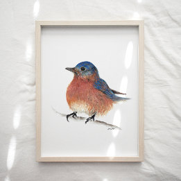 Cute Bluebird Waterverf Art Print