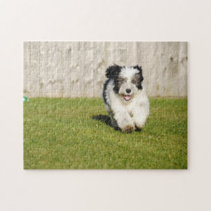 Cute Bobtail Sheepdog Legpuzzel