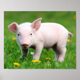 Cute Boerderij Living Barn Roze Piglet Poster