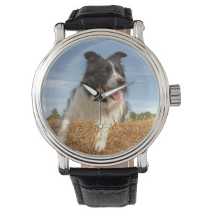 Cute Border Collie Dog Horloge
