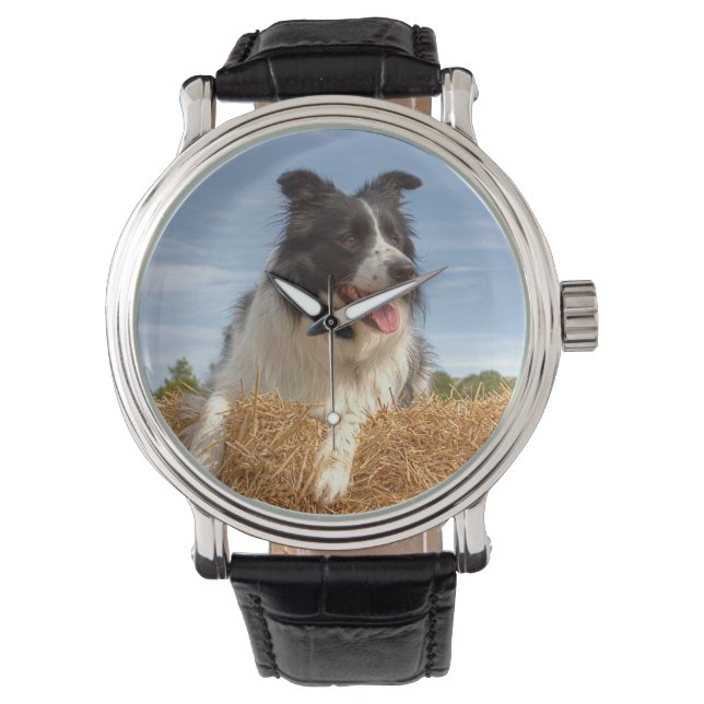 Cute Border Collie Dog Horloge (Voorkant)