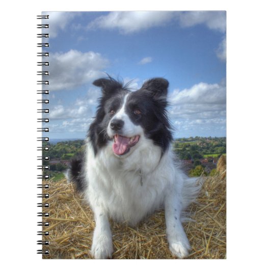 Cute Border Collie Dog Photo Notitieboek (Voorkant)