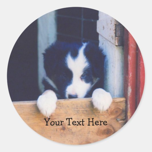 Cute Border Collie Puppy Dog Sticker (Voorkant)