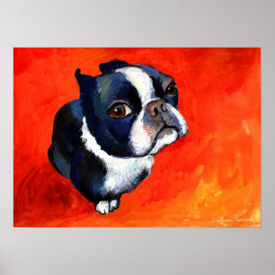Cute Boston Terrier Dog schilderij Svetlana Noviko Poster