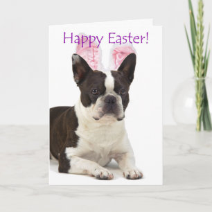 Cute Boston Terrier Easter Card Feestdagen Kaart