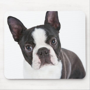 Cute Boston Terrier Ma Puppy Funny Dog Lover Muismat