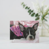 Cute Boston Terrier Puppy Briefkaart (Staand voorkant)
