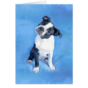 Cute Boston Terrier Puppy Painting