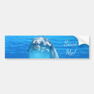 Cute Bottlenose Dolphin onderwater Bumpersticker