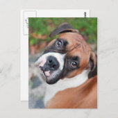 Cute boxer dog briefkaart (Voorkant / Achterkant)