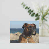 Cute Boxer Dog Briefkaart (Staand voorkant)