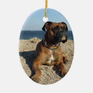 Cute Boxer Dog Ornament