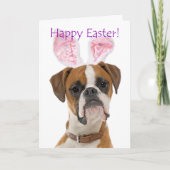 Cute Boxer Easter Kaart (Voorkant)
