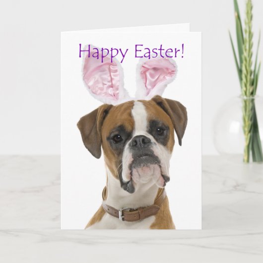 Cute Boxer Easter Kaart (Voorkant)