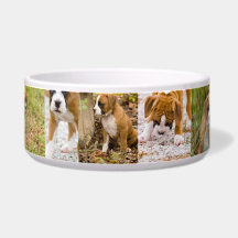 Cute Boxer Puppy Photo Dog Collage Food Bowl