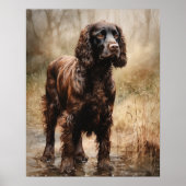 Cute Boykin Spaniel Dog Art Imprimer Poster (Devant)