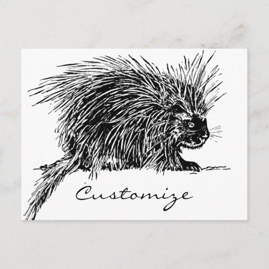 Cute Bristed Thunder_Cove Briefkaart (Voorkant)