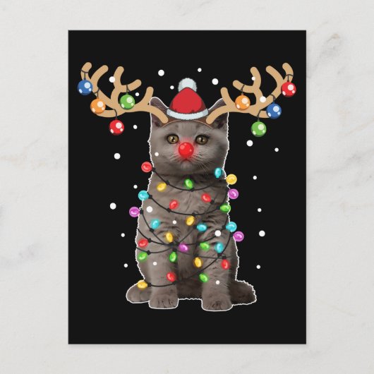 Cute British Shorthair Cat Funny Kerstfeestdag Briefkaart (Voorkant)