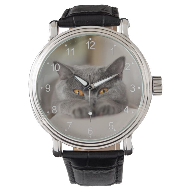 Cute British Shorthair cat Horloge (Voorkant)