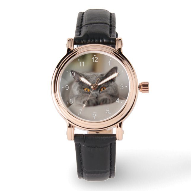 Cute British Shorthair cat Horloge (Voorkant)