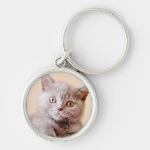 Cute British Shorthair Cat Sleutelhanger