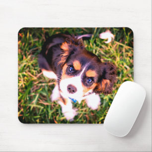 Cute Brown and White Angry Puppy Muismat