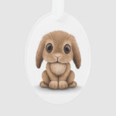 Cute Brown Baby Bunny Rabbit on White Ornament (achterkant)
