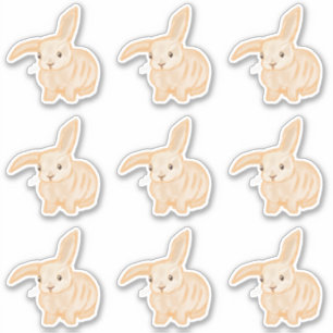 Cute Brown Bunny Rabbit - 9x cut-out. Sticker