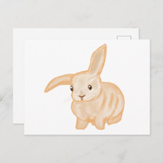 Cute Brown Bunny Rabbit - transparant op wit. Briefkaart (Voorkant / Achterkant)