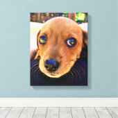 Cute Brown Dachshund Puppy Dog Canvas Afdruk (Insitu (Houten vloer))