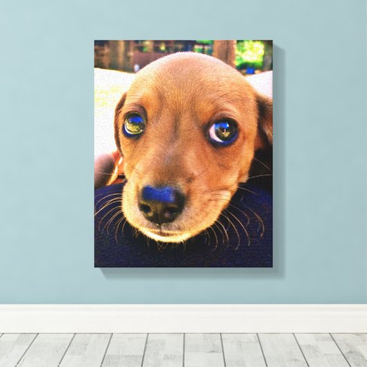 Cute Brown Dachshund Puppy Dog Canvas Afdruk (Insitu (Houten vloer))