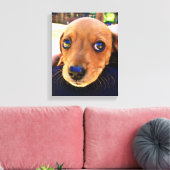 Cute Brown Dachshund Puppy Dog Canvas Afdruk (Insitu (Woonkamer))