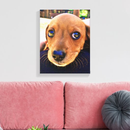 Cute Brown Dachshund Puppy Dog Canvas Afdruk (Insitu (Woonkamer))