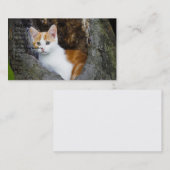 Cute Brown et blanc Kitten Carte de visite (Devant / Derrière)