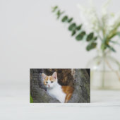 Cute Brown et blanc Kitten Carte de visite (Debout devant)