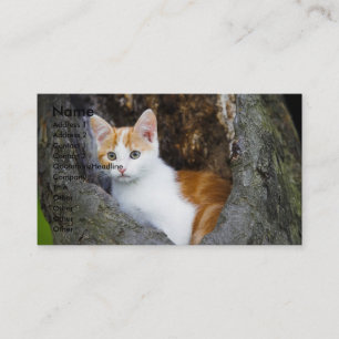 Cute Brown et blanc Kitten Carte de visite