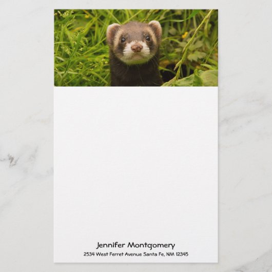 Cute Brown Ferret in de Grass Briefpapier (Voorkant)