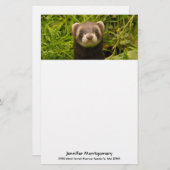 Cute Brown Ferret in de Grass Briefpapier (Voorkant / Achterkant)
