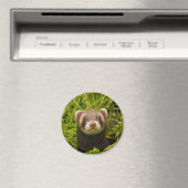 Cute Brown Ferret in de Grass Magneet (Insitu (Vaatwasser))
