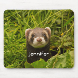 Cute Brown Ferret in de Grass Muismat
