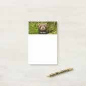 Cute Brown Ferret in de Grass Post-it® Notes (Op bureau)