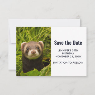 Cute Brown Ferret in de Grass Save The Date