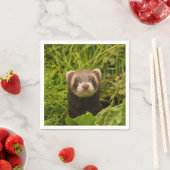 Cute Brown Ferret in de Grass Servet (Insitu)