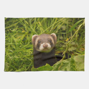 Cute Brown Ferret in de Grass Theedoek