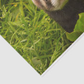 Cute Brown Ferret in de Grass Tissuepapier (Detail)