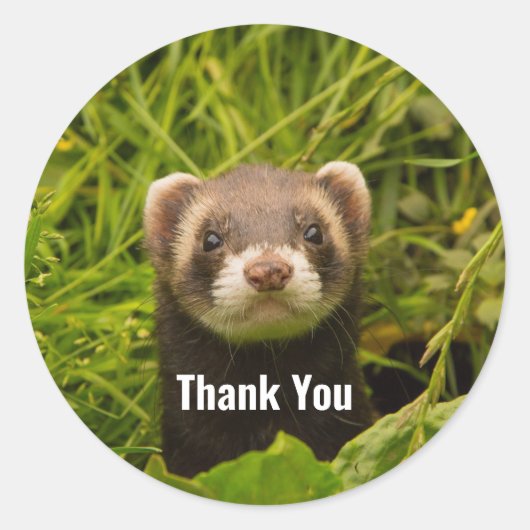 Cute Brown Ferret in the Grass Dank u Ronde Sticker (Voorkant)