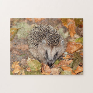 Cute Brown Hedegel op Leaves Jigzaag Puzzle Legpuzzel