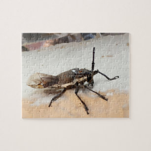 Cute Brown Insect Bug Legpuzzel