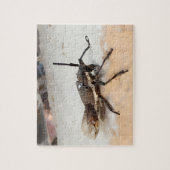 Cute Brown Insect Bug Legpuzzel (Verticaal)