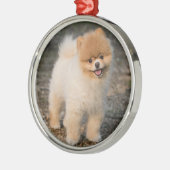 Cute Brown Pomeranian Puppy Dog Metalen Ornament (Links)